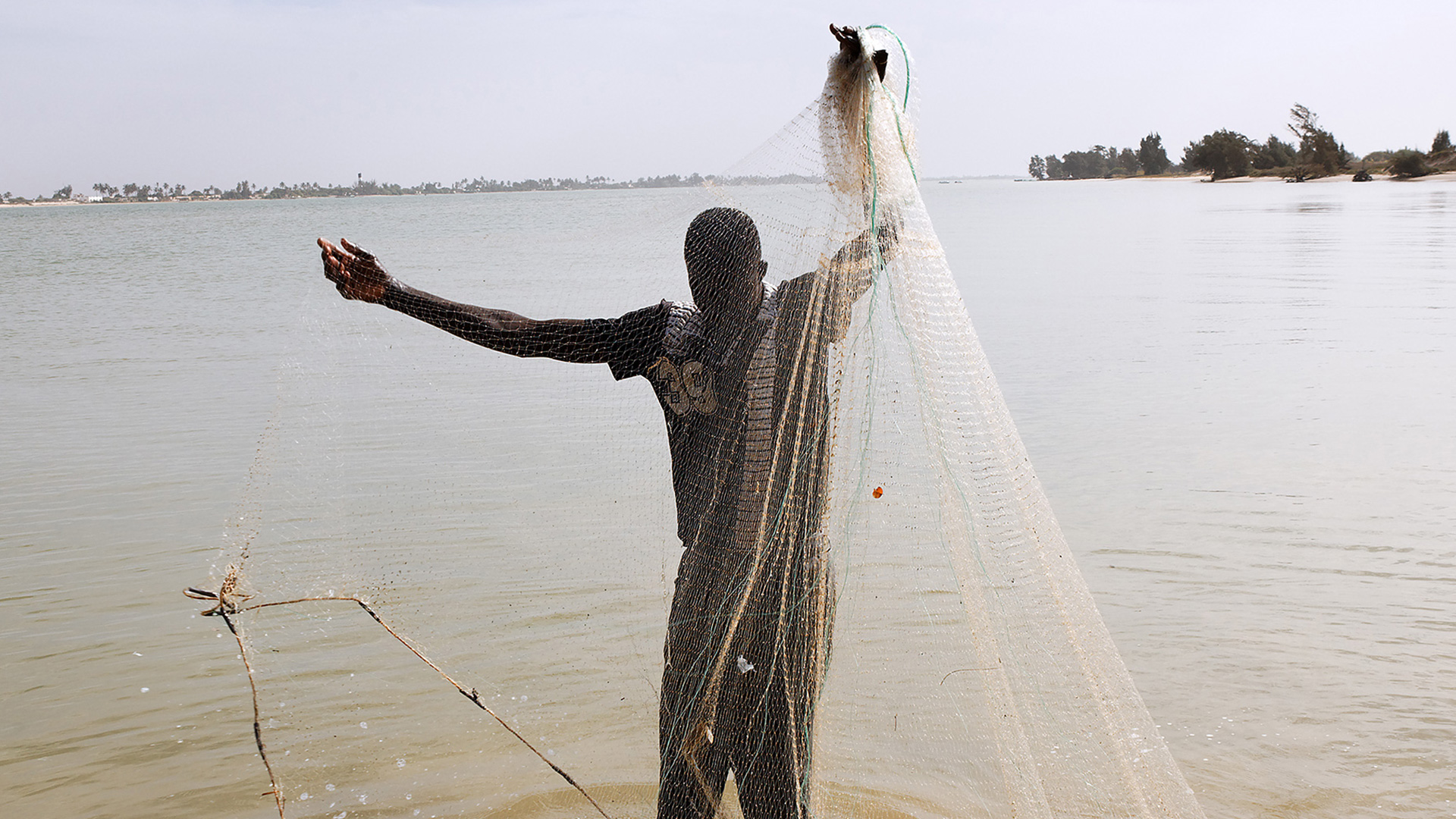 Fisheries and Aquaculture